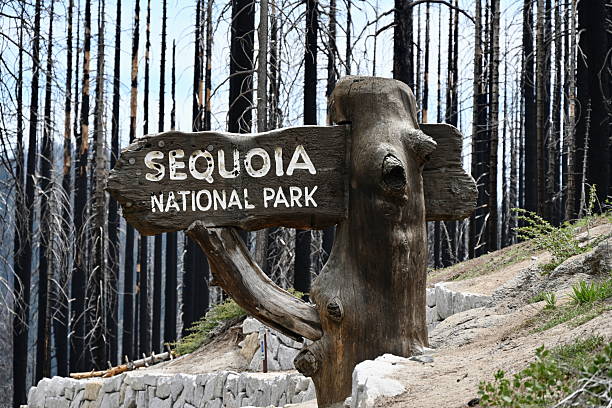 The entrance sign at the Northern boundary between Sequoia National Park and Sequoia National Forest in Northern California.