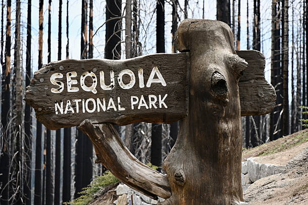 The entrance sign at the Northern boundary between Sequoia National Park and Sequoia National Forest in Northern California.