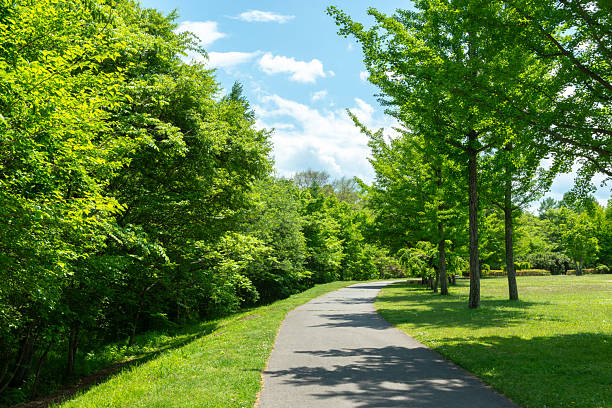 istock Green park promenade 2219411210