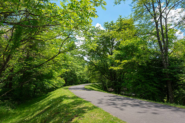 istock Green park promenade 2219411222