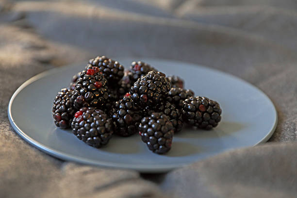 Juicy blackberries on a blue plate