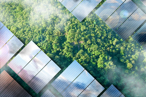 istock Solar panels installed in the green forest Clean alternative energy concept. 2219411920
