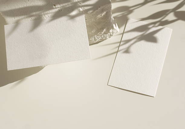 istock Business blank card mockup template and floral shadow on white background with copy space. 2219415760