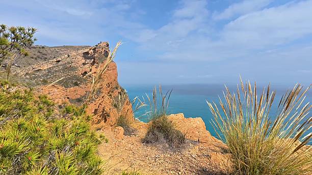istock Discover the breathtaking coastal cliffs that provide stunning ocean views which captivate all 2219419587