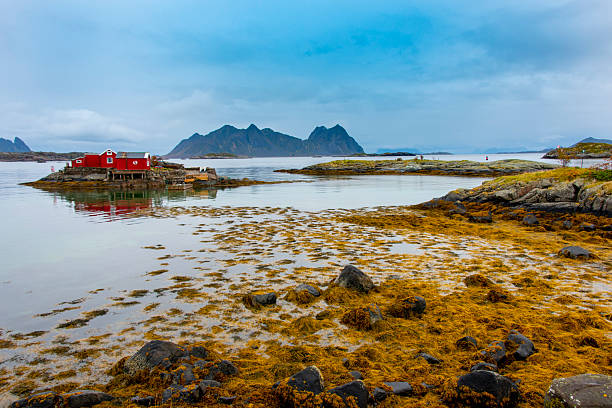 istock Bay in Svolvaer 2219425442