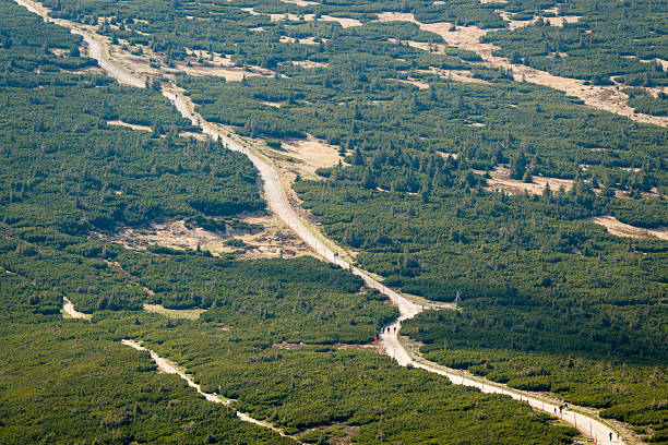 A high-angle view of the network of hiking trails in Karkonosze National Park, Poland, winding through a lush green mountain landscape.
