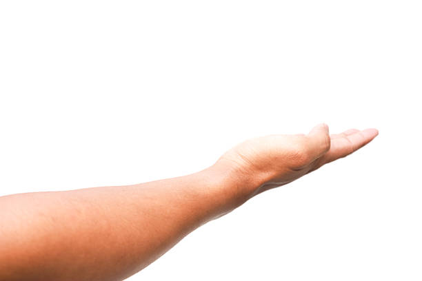 Open hand reaching out on a white background