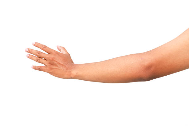 Isolated arm reaching out on a white backdrop