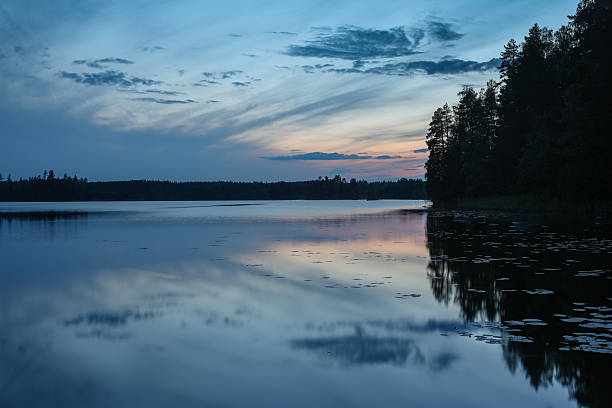 Finland lake forest nature beautiful sunset blue hour