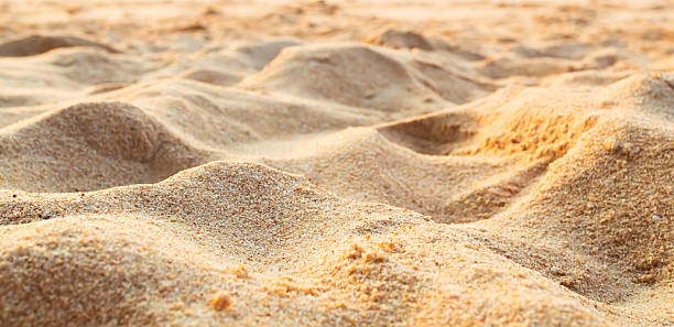 istock Background summer nature tropical 2219431515