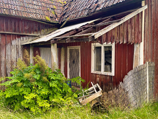 Old brick house, ruined and abandoned, in overgrown village. Sunny summer day