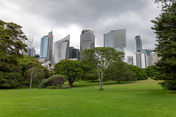 istock Central Business District in Sydney, Australia 2219439019