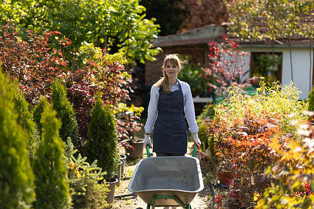 Garden center female worker pushing wheelbarrow during working day
