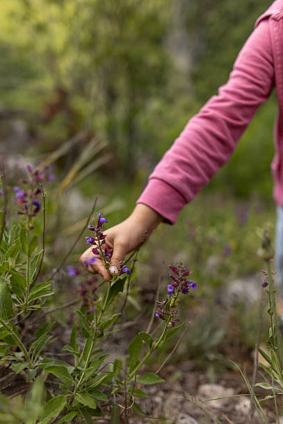 istock Girl picking wildflowers on meadow 2219443914