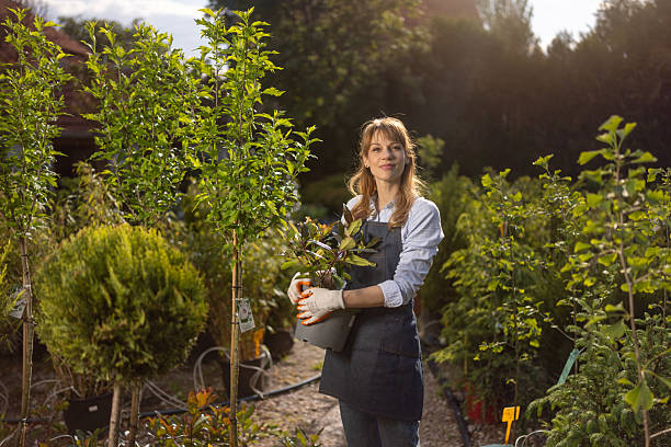 istock Smiling woman working in garden center 2219444227