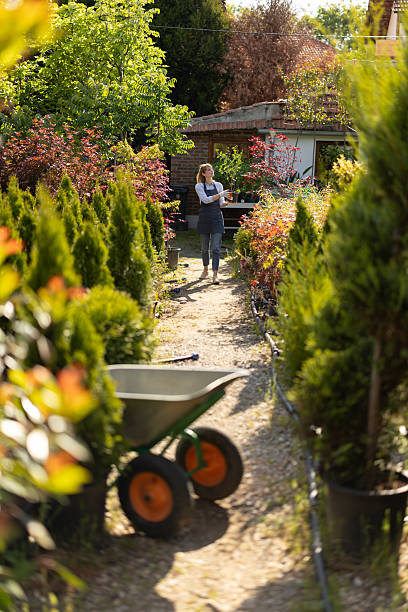 istock Busy day in garden center 2219444266
