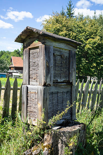 istock A wooden structure with a roof sits in a field 2219446156