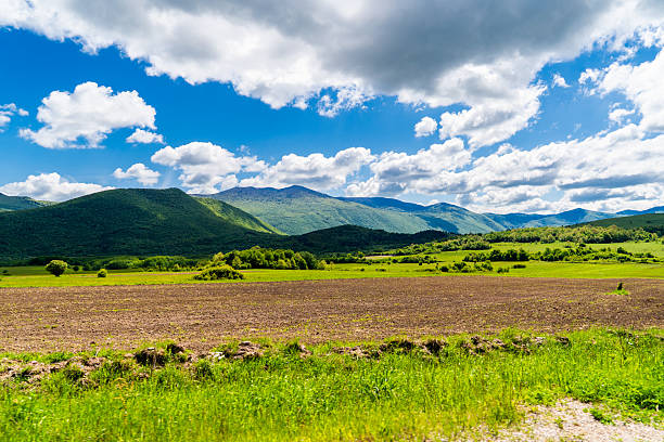 Freshly tilled farmland in the foreground contrasts with the vibrant green boundary of trees and shrubs, backed by a densely forested mountain range. The dramatic sky above adds dimension and brightness to the peaceful rural scene, reflecting traditional Croatian agricultural landscapes.