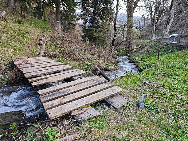 istock Small wooden bridge crossing a stream in a mountain forest 2219453041