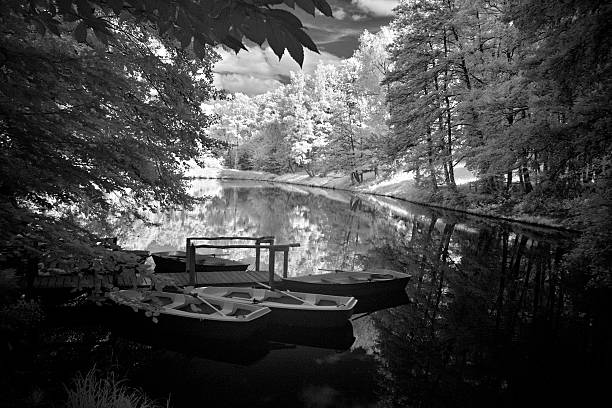 istock infrared image of a lake 2219457698
