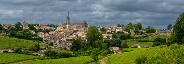 istock Bordeaux vineyards in Saint-Emilion during springtime with lush greenery and scenic village landscape 2219458182