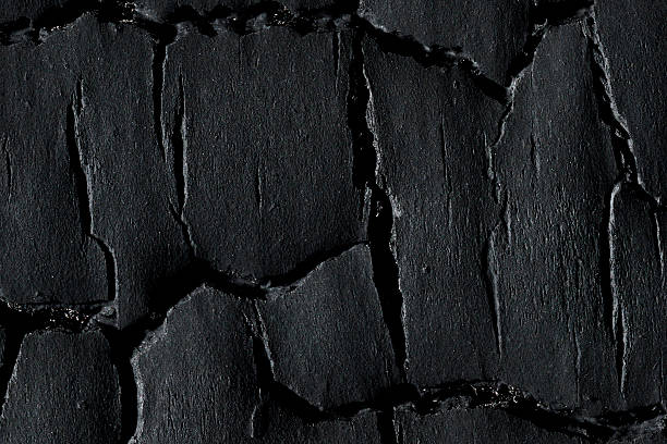 This close-up of charred wood flaunts organic cracked bark, delivering a luxurious black wood texture suitable as a sophisticated charcoal background in dark minimal compositions. Swirls of carbonized timber provide an abstract rough surface, instantly suggesting fire-damaged wood stories. The sharp cracked charcoal grain contrasts neatly against broad copy space, supporting headline placement, texture libraries, and high-end brochure spreads.