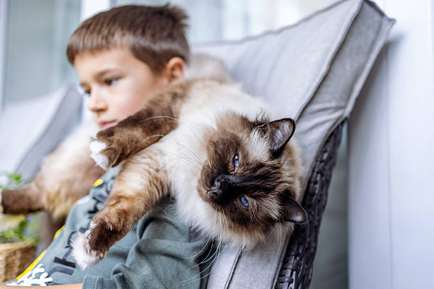istock Young Boy Relaxing with a Cat Draped Over His Shoulder 2219460242
