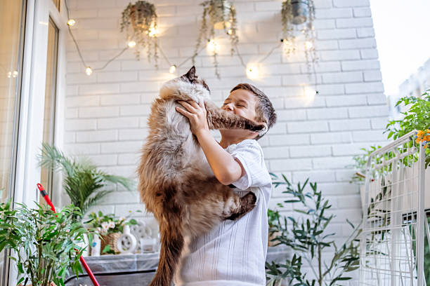 A young boy is looking at a cat on a couch. The boy is smiling and seems to be enjoying the interaction with the cat