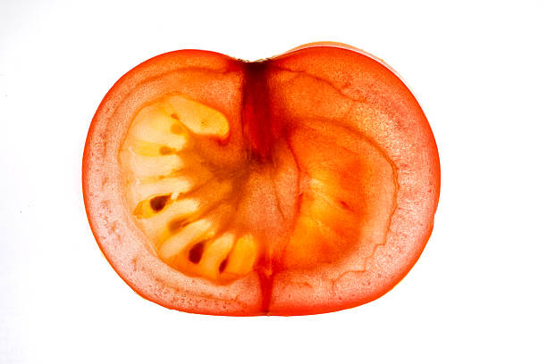 Backlit ripe tomato slice revealing vibrant seeds, translucent against white backdrop, highlighting fresh produce and nutritional value