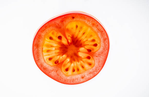 Close-up of a backlit tomato slice revealing intricate details of seeds, pulp, and translucent flesh, creating a vibrant display of color and texture against a clean white backdrop