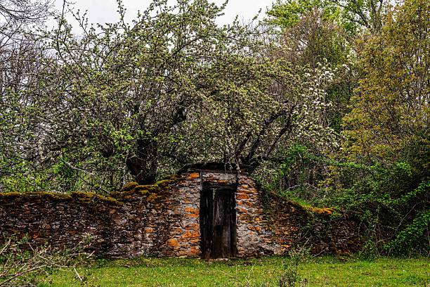 istock North Spanish Colorful Country Scene 2219464022