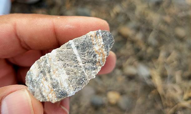 istock a uniquely shaped stone featuring intricate natural patterns, lines, dots, and a blend of striking colors that highlight its distinct geological formation 2219464774