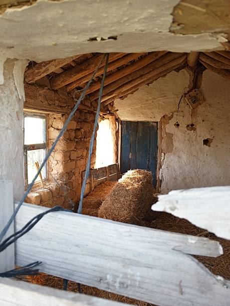 istock The barn on the farm 2219465320