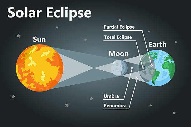 ilustraciones, imágenes clip art, dibujos animados e iconos de stock de infografía del eclipse solar. sol, luna y tierra. ilustración vectorial de estilo plano. - eclipse solar