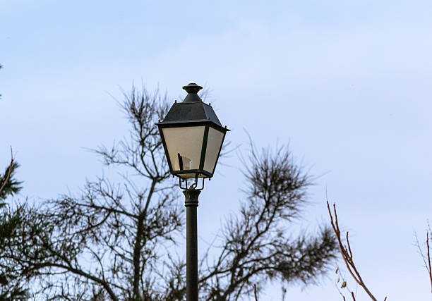 Street lamp with trees and blue sky in the background. Lamp located in a park.