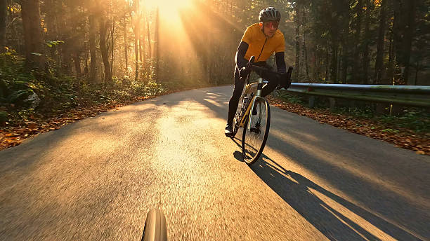istock Cyclist rides down a forest road at sunset 2219475407