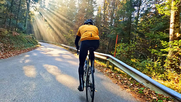 Cyclist rides downhill on a forest road