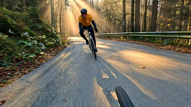 istock Cyclist rides down a forest road on a sunny day 2219475422