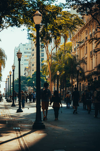 istock Center of Sao Paulo 2219476012