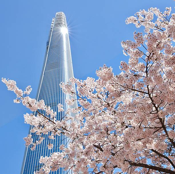 istock Cherry blossoms and skyscraper in Seoul. 2219476033