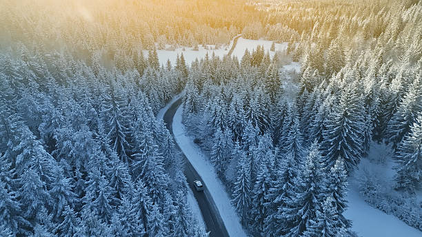 istock Snowy forest road with car driving through 2219476631