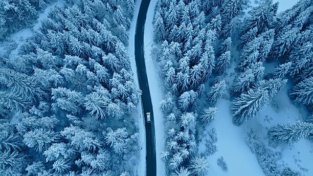 istock Car driving down snowy road through forest 2219476635