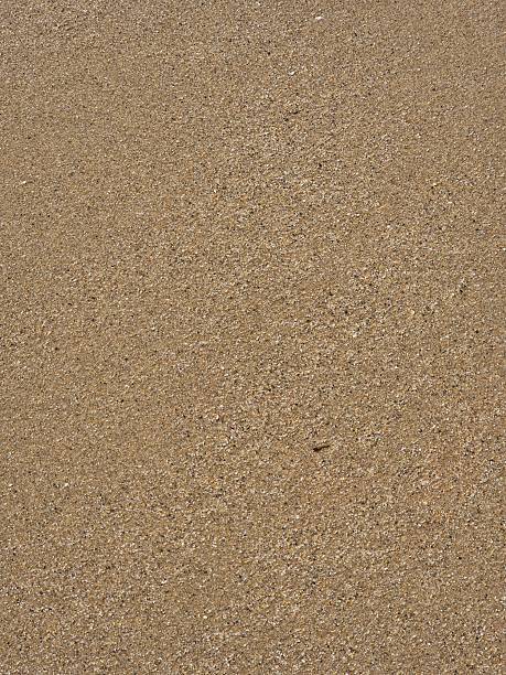 istock sand texture background. sea sand. seashore 2219478904