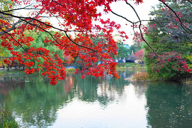 札幌の紅葉