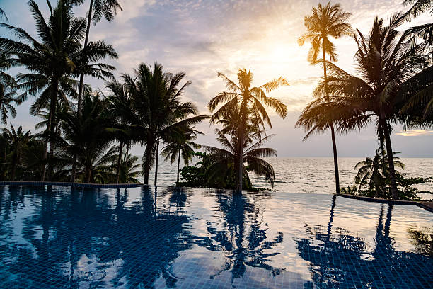 istock Tranquil Infinity Pool Overlooking Ocean at Sunset with Palm Trees 2219480319