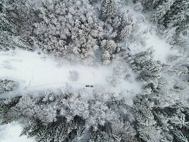 istock Snowmobiles on a snowy forest path, aerial view 2219480335