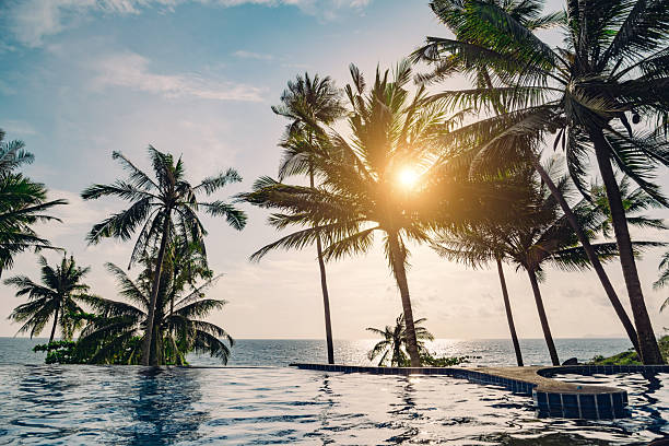 istock Tranquil Infinity Pool Overlooking Ocean at Sunset with Palm Trees 2219480375