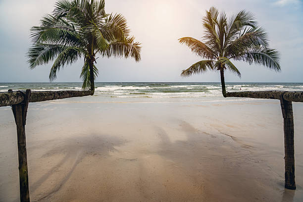 Sunlit tropical beach featuring two curved palm trees against a calm ocean horizon and sandy shore.
