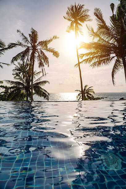 istock Tranquil Infinity Pool Overlooking Ocean at Sunset with Palm Trees 2219481271