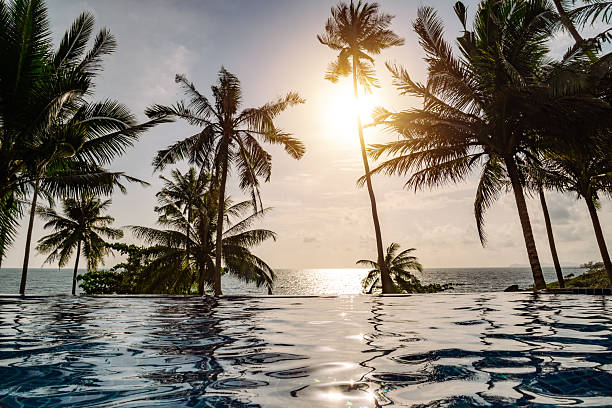 istock Tranquil Infinity Pool Overlooking Ocean at Sunset with Palm Trees 2219481485